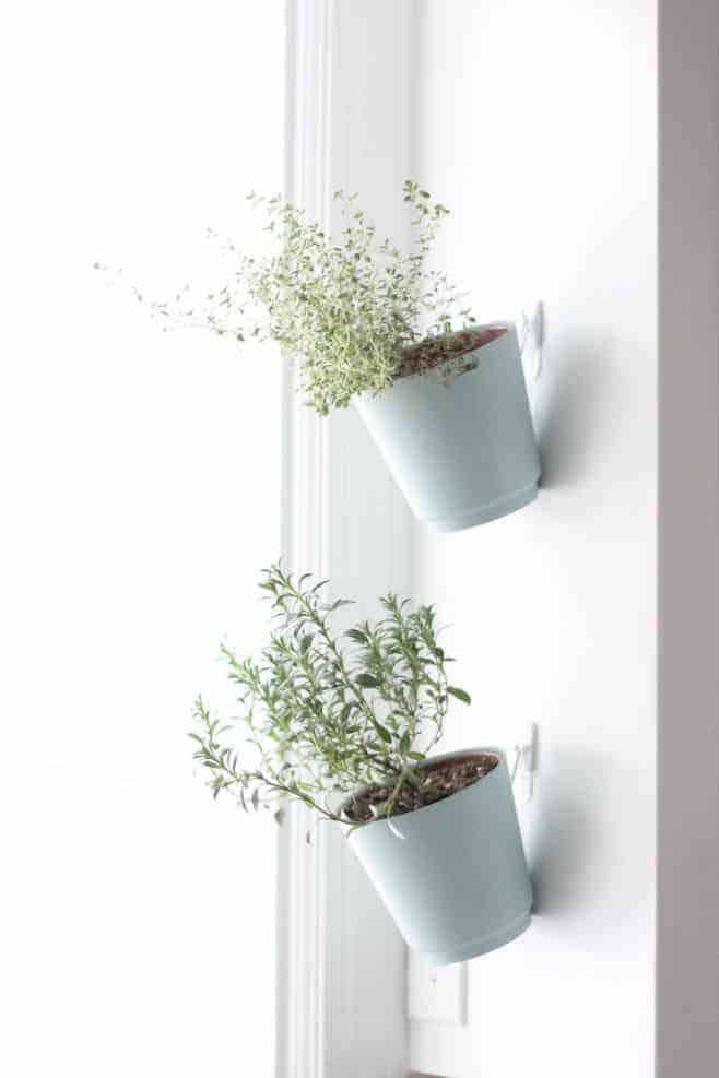 Hanging Herb Planter