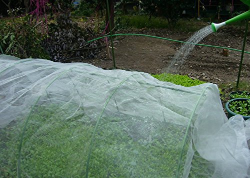 Insect netting with a hoop tunnel