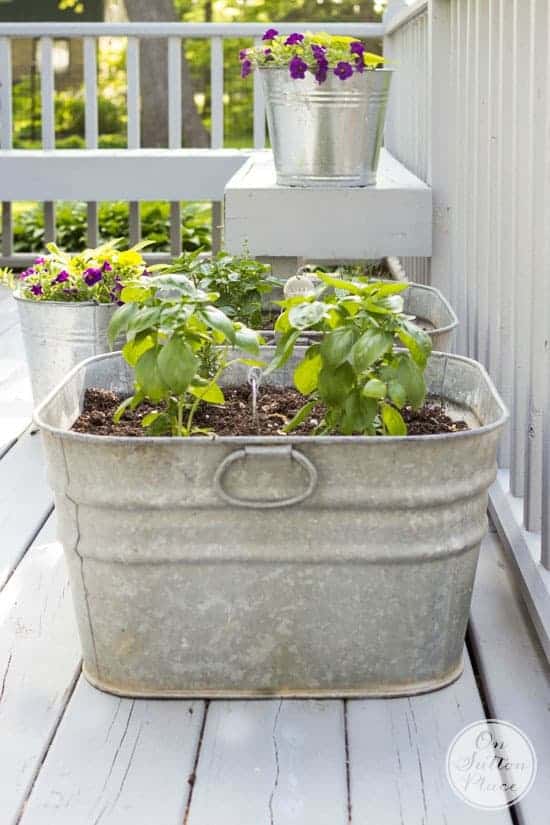 Vintage Herb Garden Using Galvanized Wash Tubs