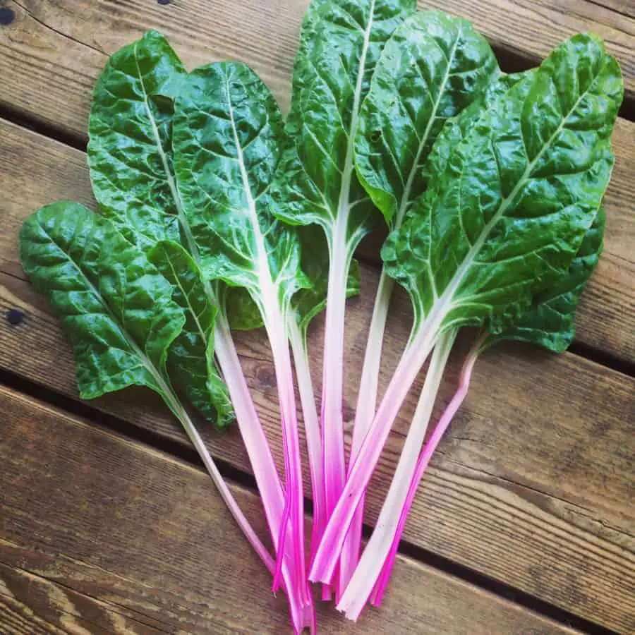Grow 52 Weeks Of Fresh Greens Family Food Garden Grow 52 Weeks Of Fresh Greens Family Food Garden