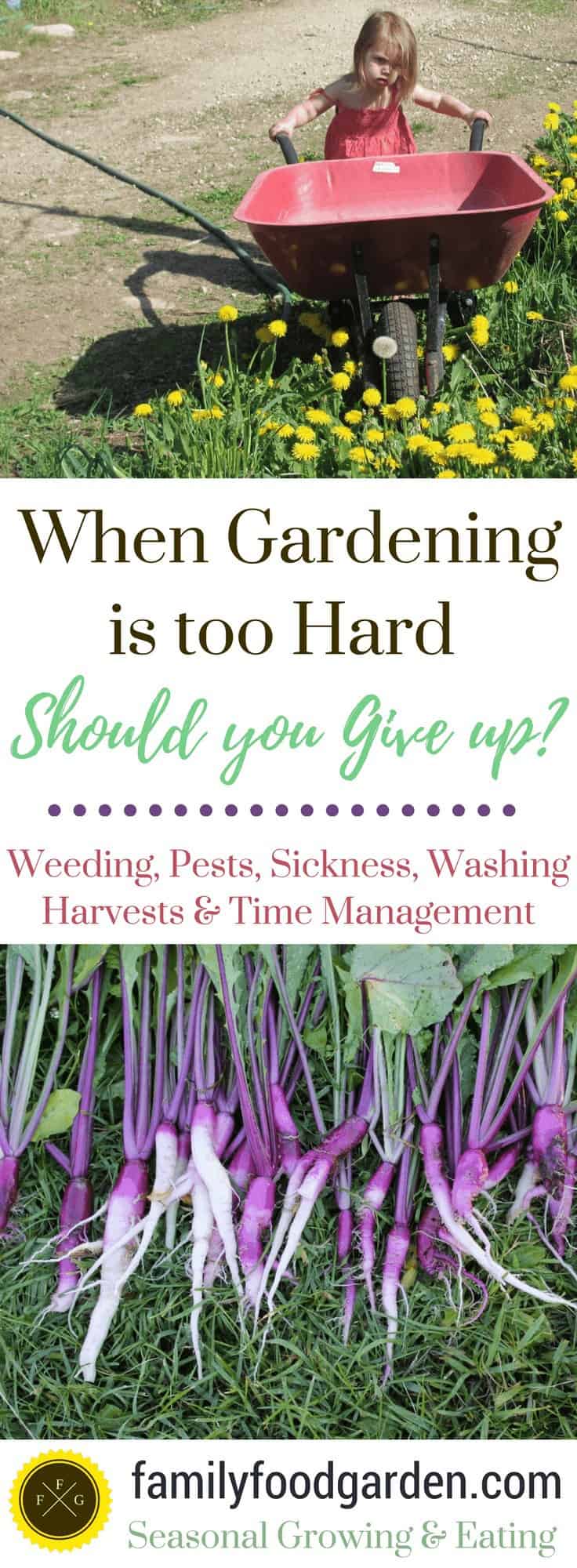 When Gardening is too Hard: Should you give up?
