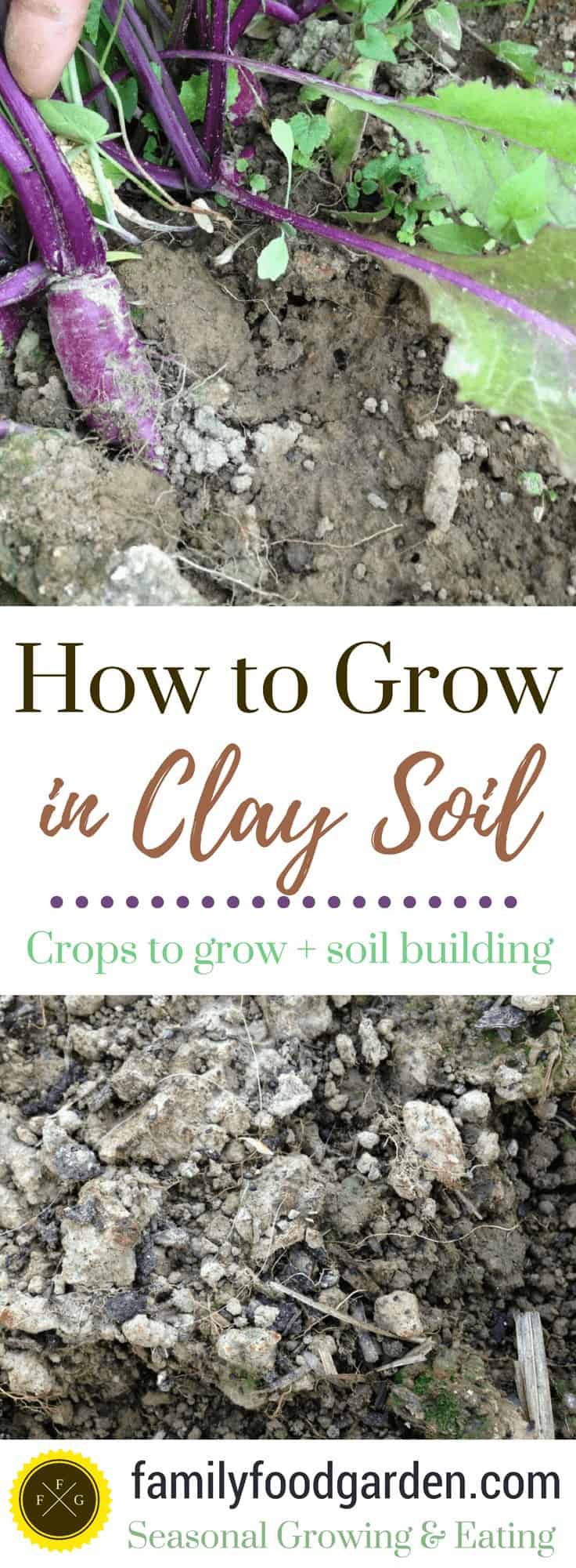 Gardening with Clay Soil + Best Vegetables for Clay Soil