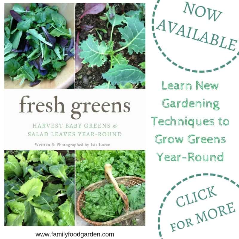 Fresh Greens Book: Harvest Baby Green & Salad Leaves Year-Round