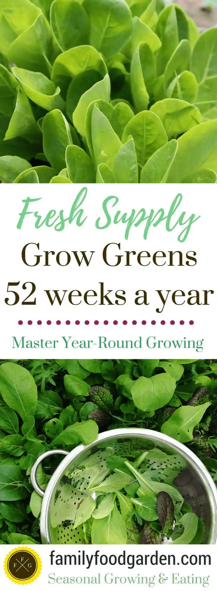 Grow Greens Year-Round