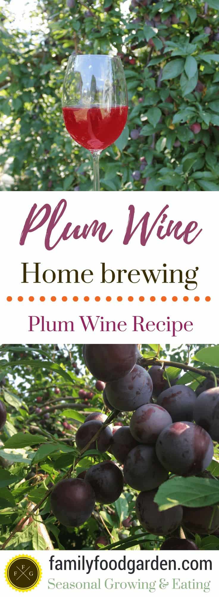 How to make plum wine