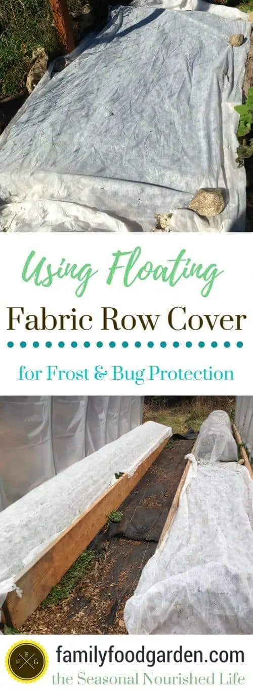 Using frost cloth (row cover) as plant frost protection