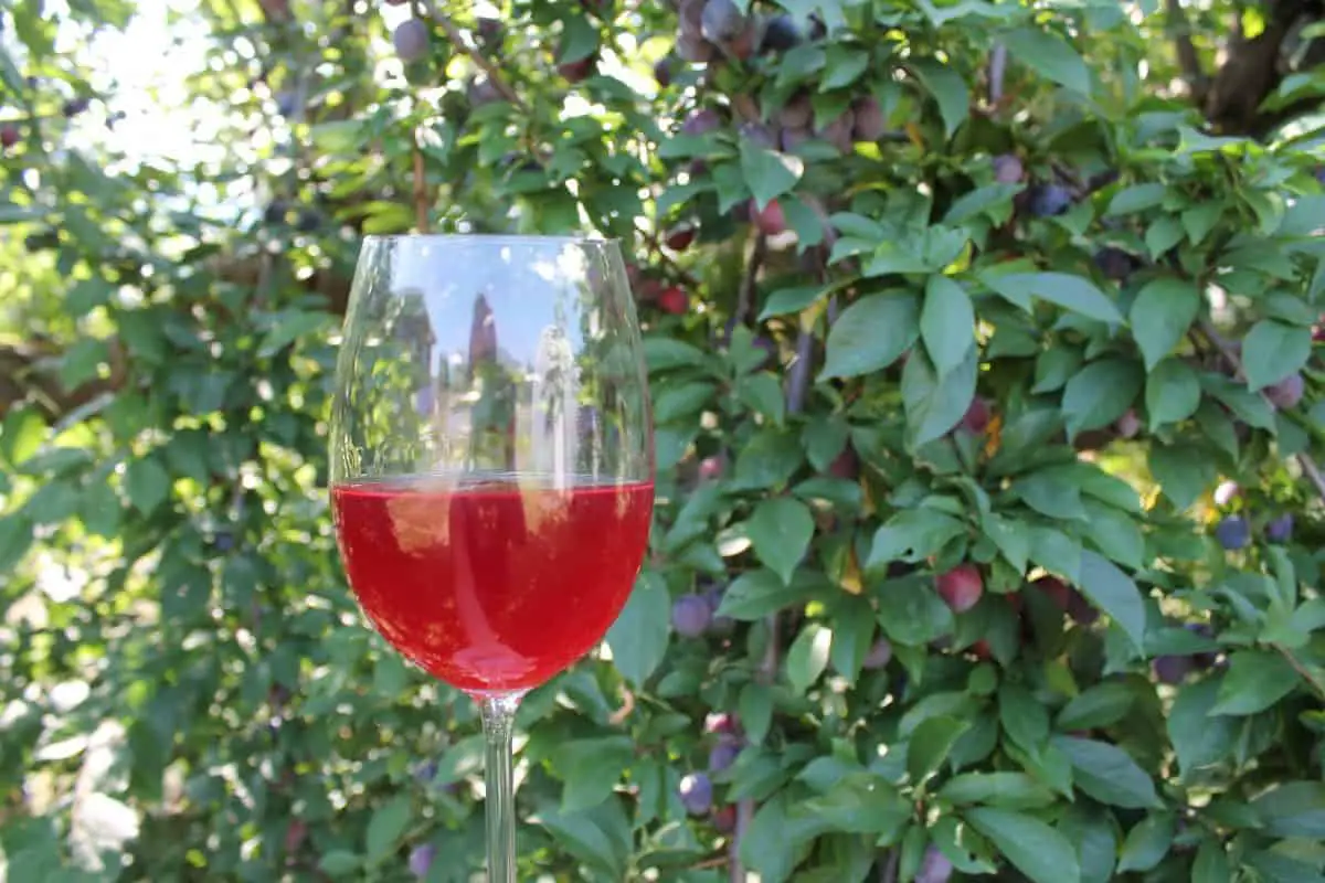 How to make plum wine