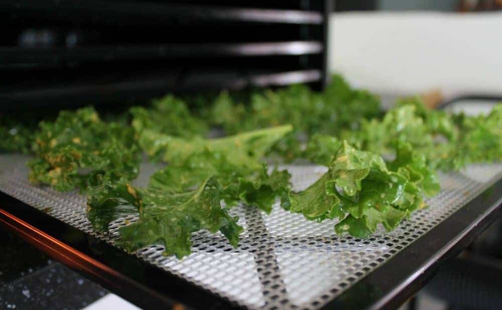 What Is The Best Inexpensive Food Dehydrator What Is The Best Inexpensive Food Dehydrator