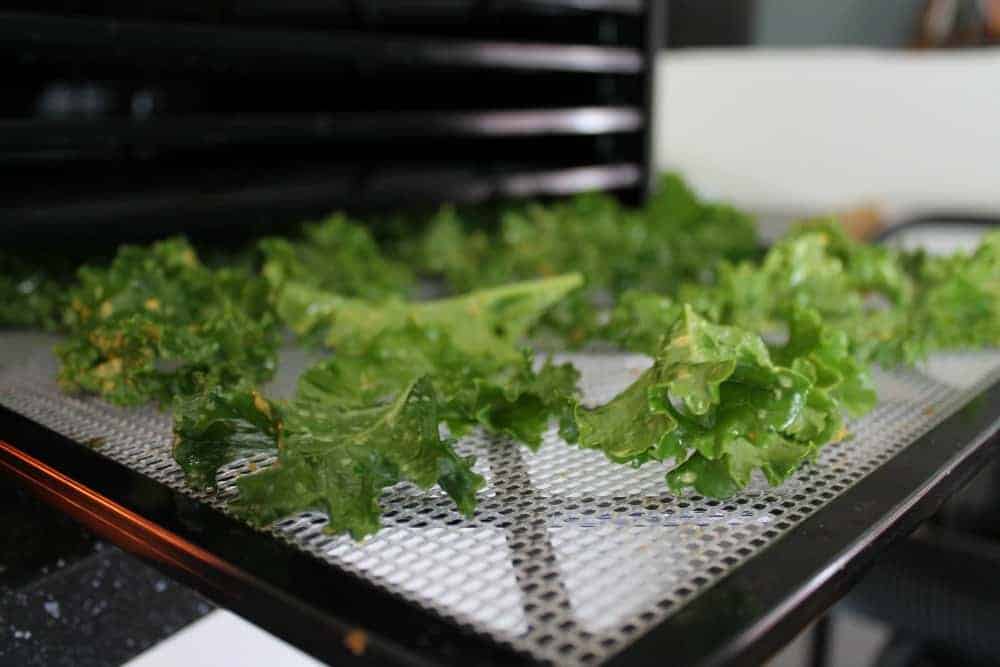 Kale chip recipe using Excalibur dehydrator