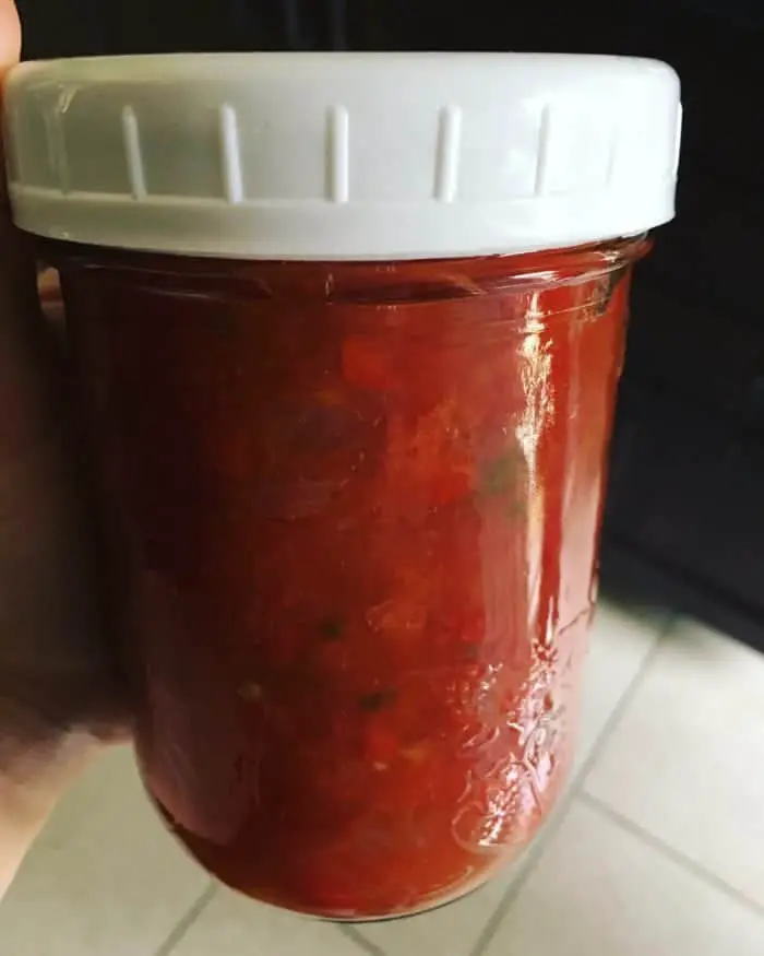 salsa recipe for canning with fresh tomatoes
