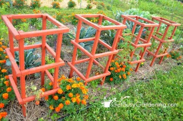 DIY Bamboo Tomato Trellis