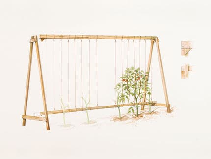 DIY A Frame Tomato Trellis