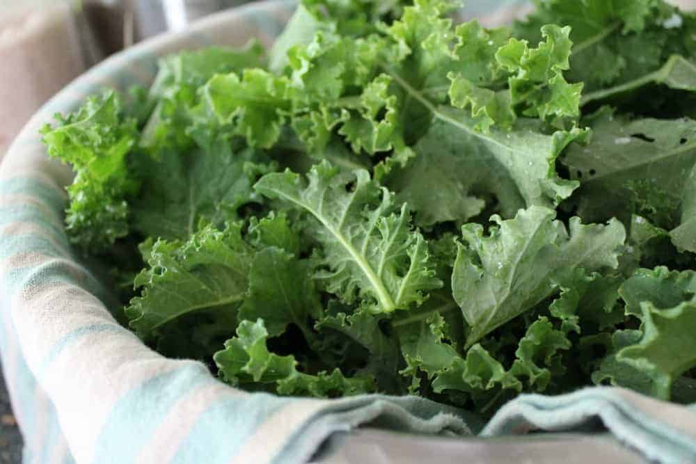 Washing Homegrown Produce