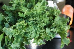 How to grow kale