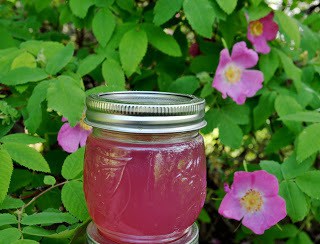 Wild Rose Jelly Recipe