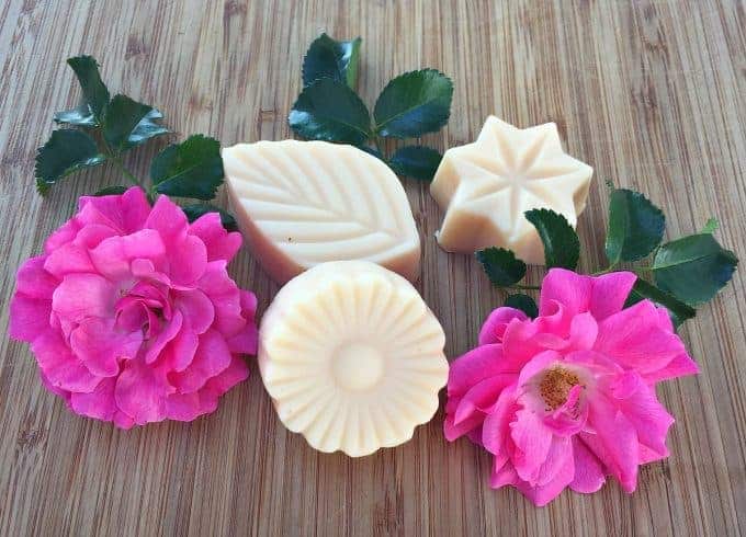 Wild rose lotion bars