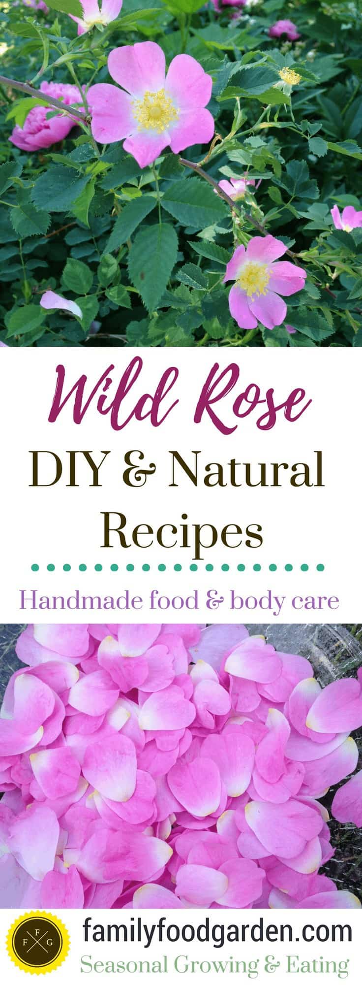 Rose petal recipes