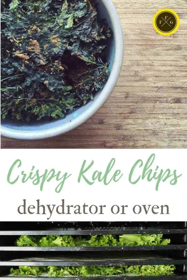 Choosing the right kale for kale chips & a healthy kale chip recipe