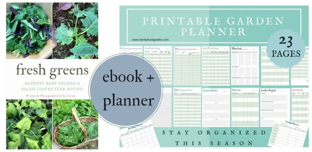 Fresh Greens: Harvest baby greens & salad leaves year-round eBook plus printable garden planner