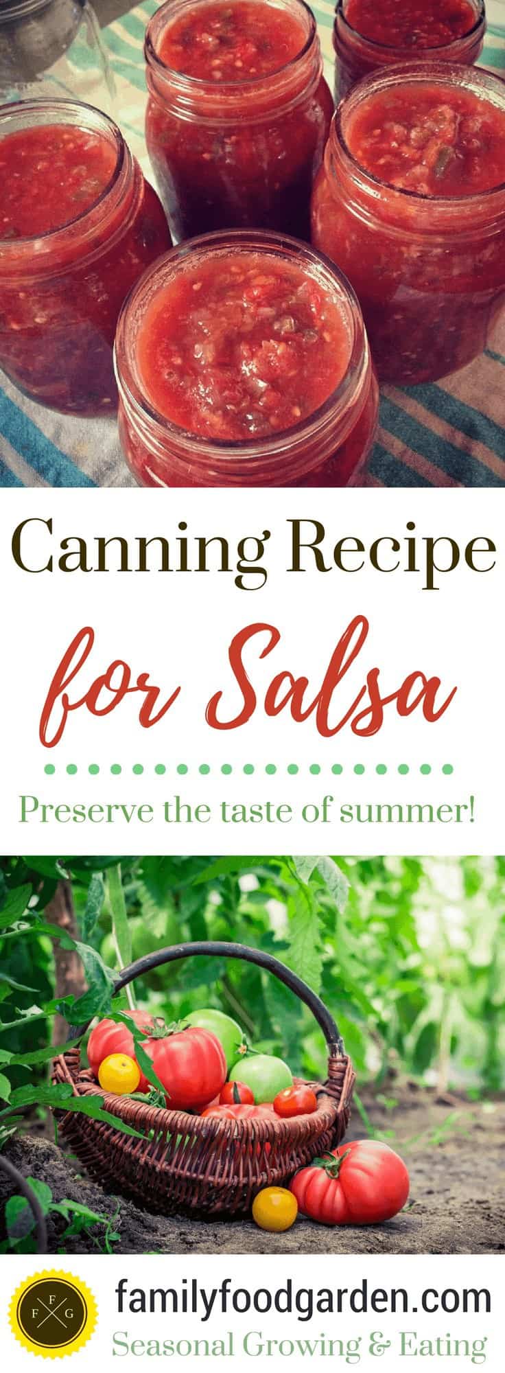 Tomato Salsa Recipe for Canning