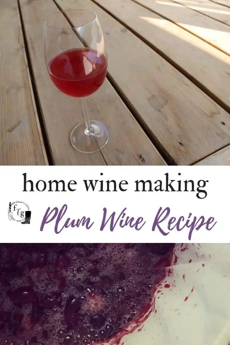 Make plum wine with Italian or yellow plums #wine #winemaking #preserve #fermentation #homebrewing