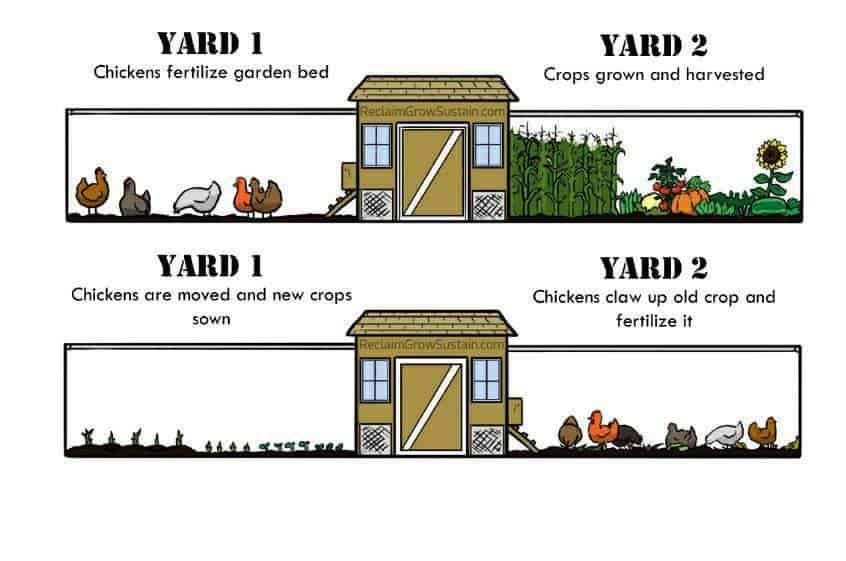 Chicken run ideas around the garden