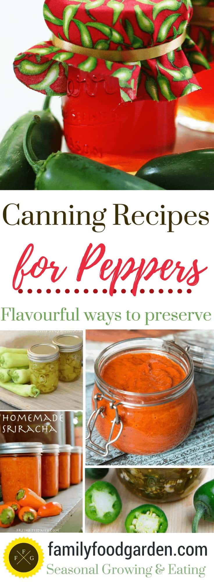 Canning recipes for preserving peppers