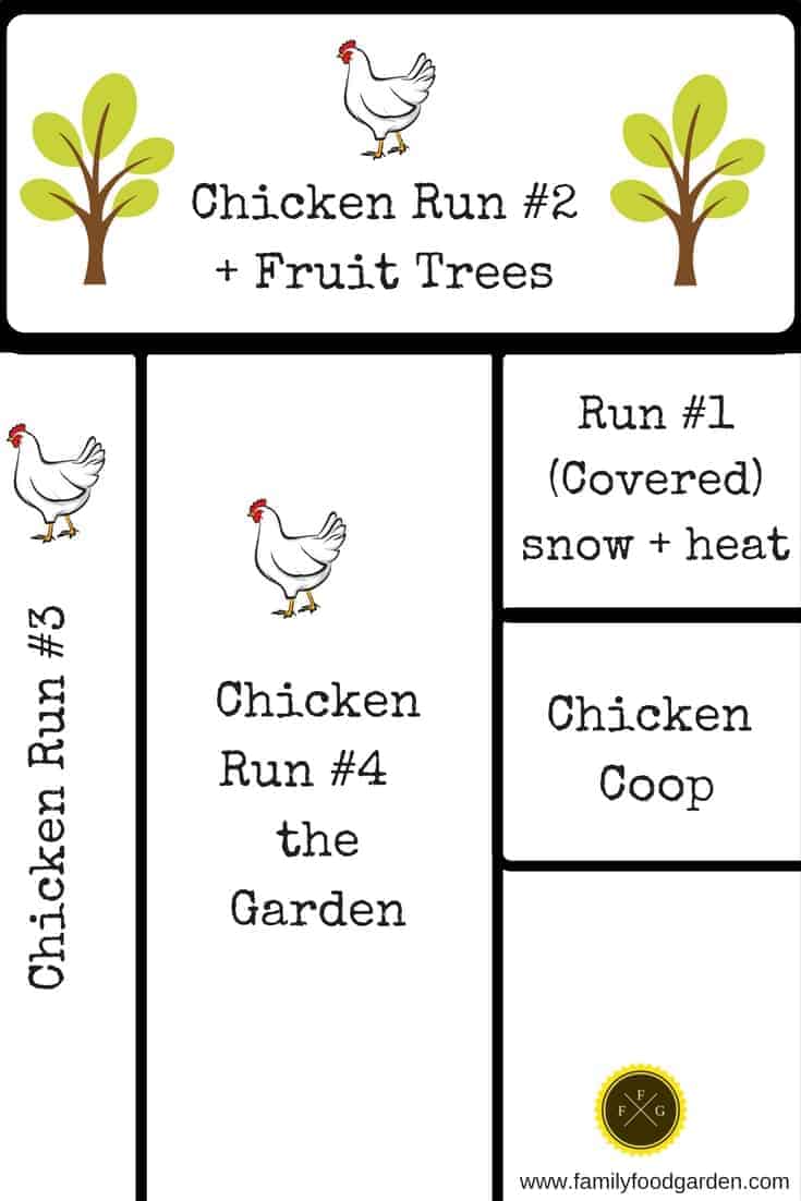 Chicken coop & rotational run design around the garden