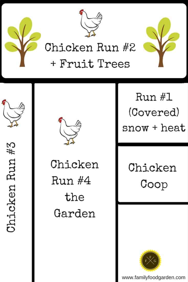 Chicken coop & rotational run design around the garden