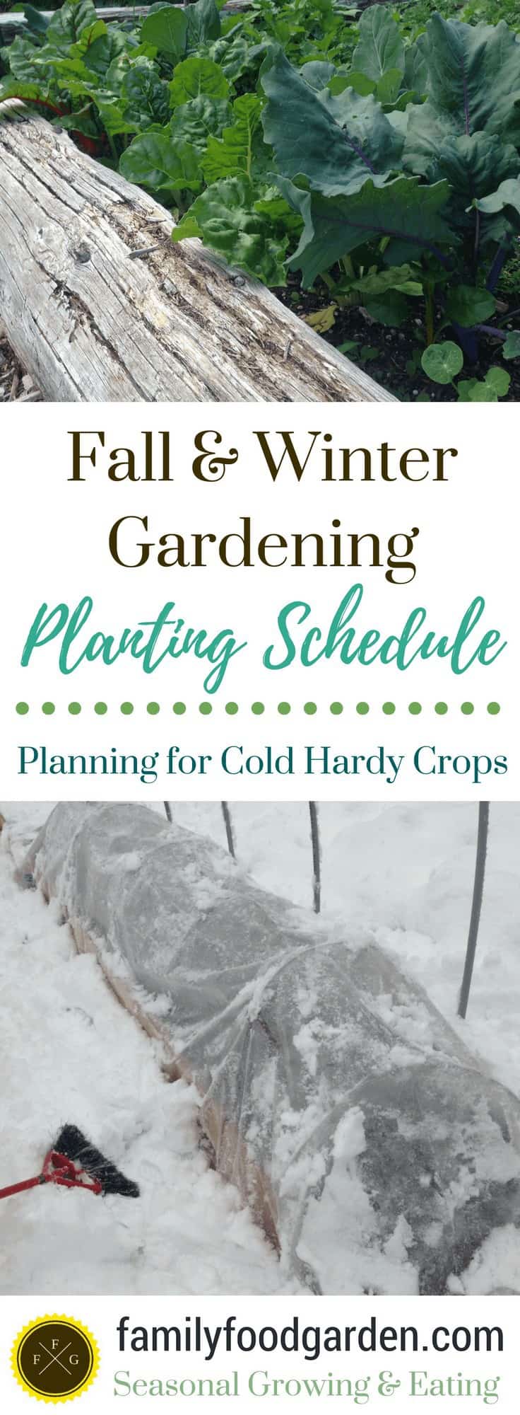 Winter Gardening