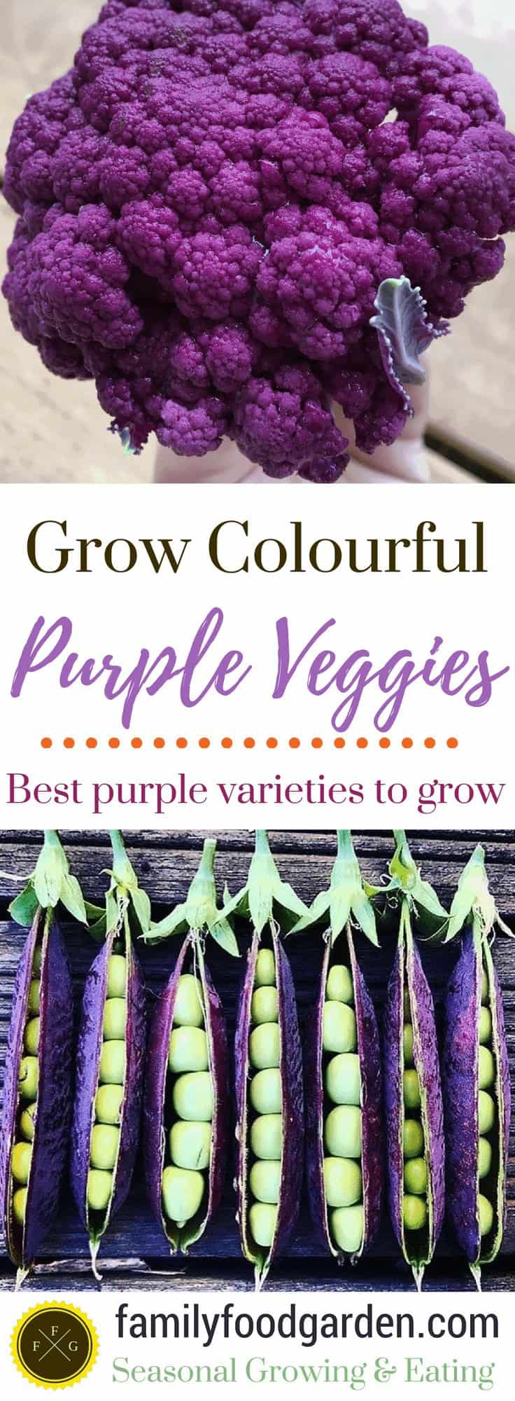 Beautiful purple vegetables to grow