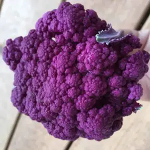 Growing purple vegetable varieties