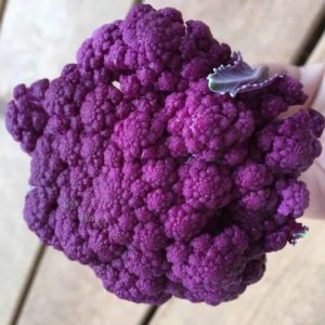 Growing purple vegetable varieties