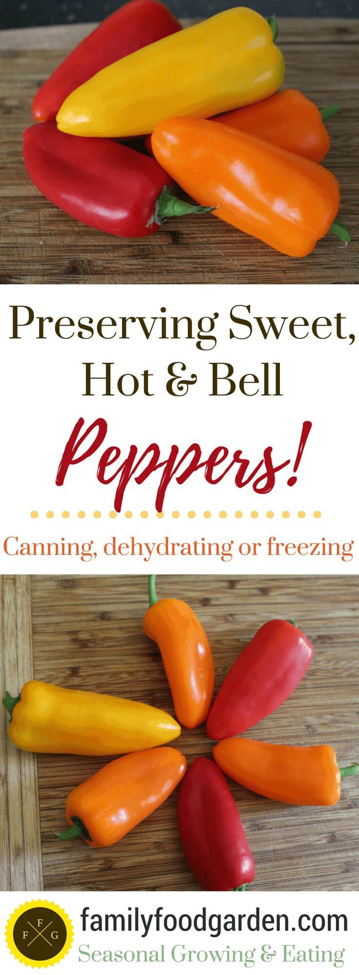 How to preserve peppers with canning, freezing or dehydrating