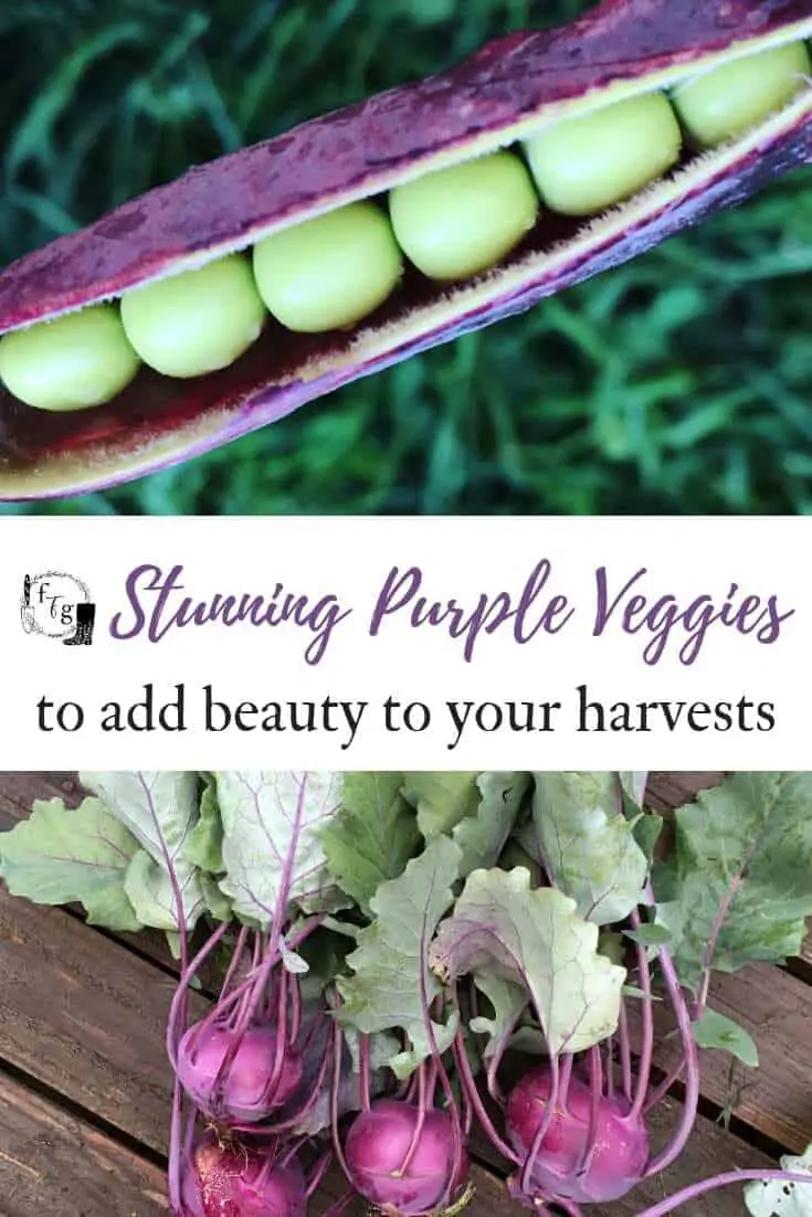 Beautiful purple vegetables to grow #purplevegetables #gardening #garden #growfood