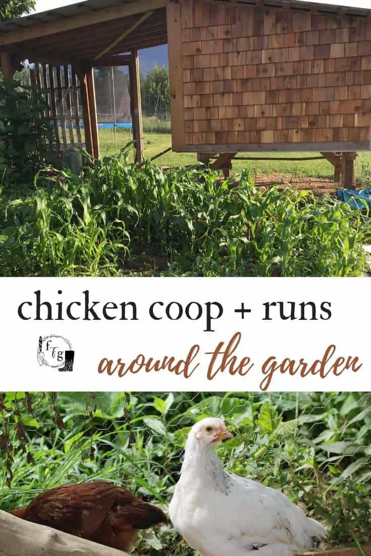 chicken coop runs around the garden