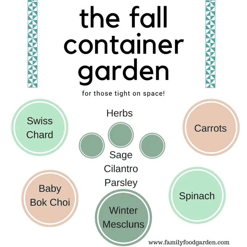 The Fall Container Garden (For those tight on space!)