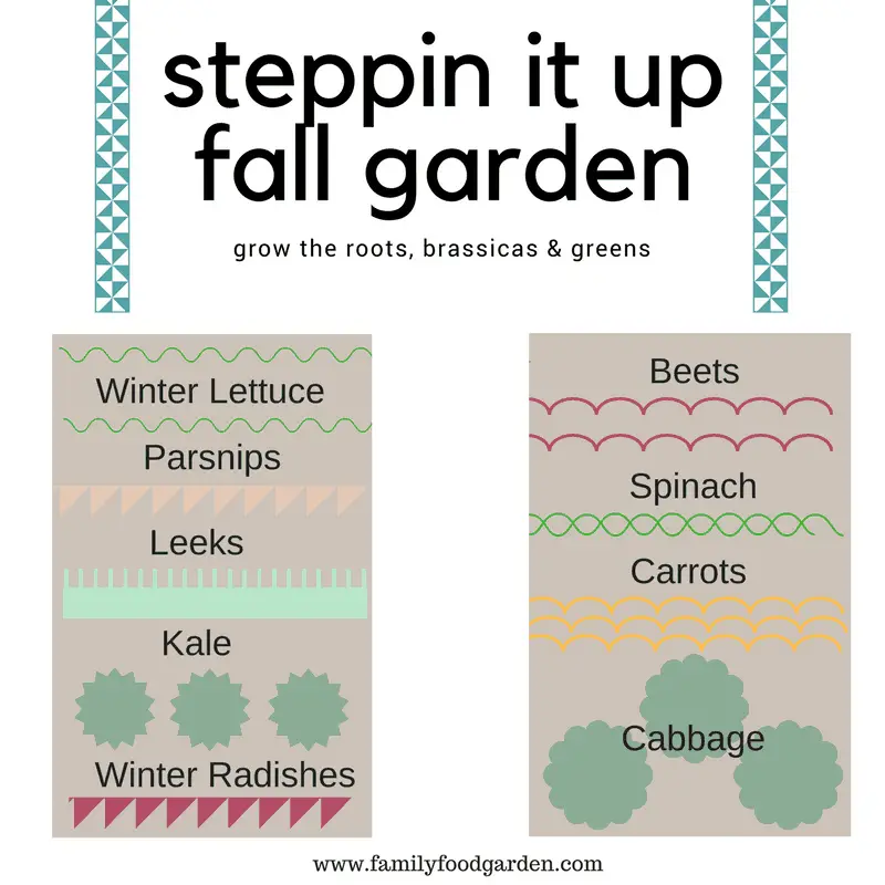 Steppin It Up Fall Garden (Grow the roots, brassicas, & greens)