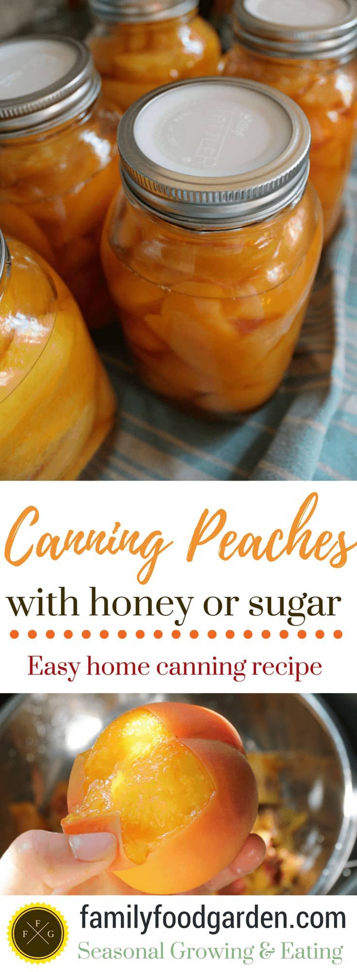 Canning Peaches in Honey or Sugar
