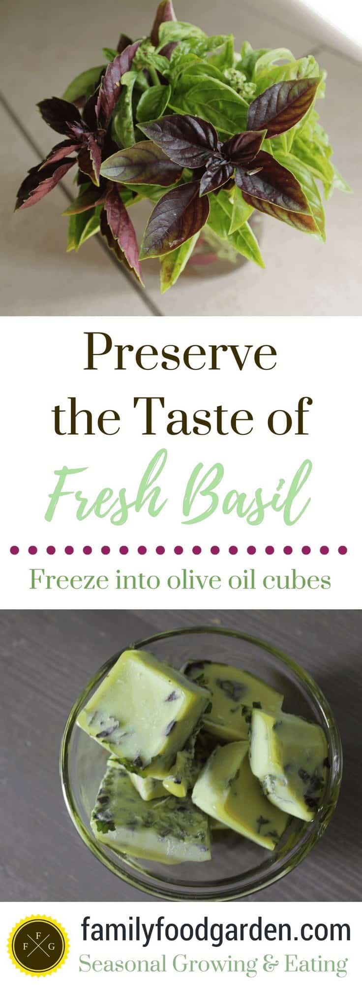 How to preserve fresh basil by freezing