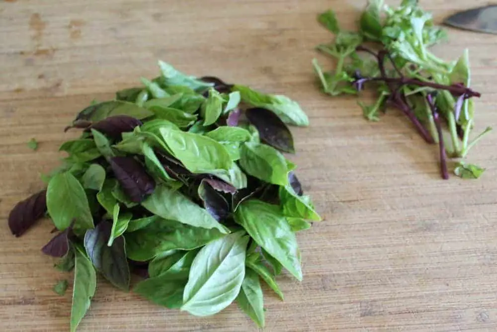 How to preserve fresh basil by freezing