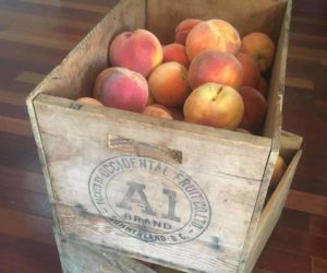 Canning Peaches in Honey or Sugar