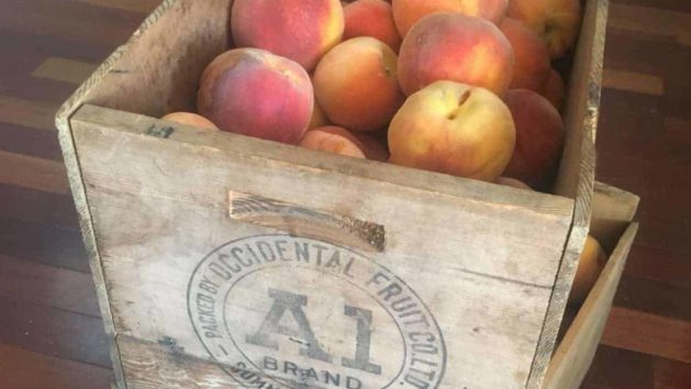 Canning Peaches in Honey or Sugar