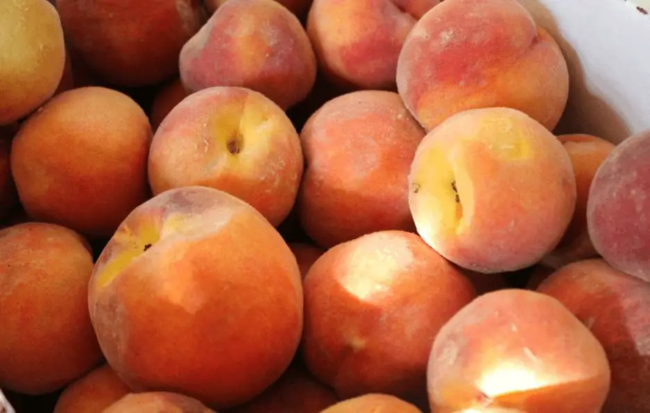 Canning Peaches in Honey or Sugar
