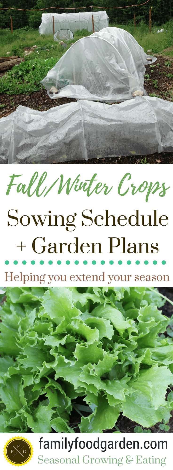 Winter Gardening