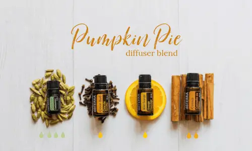 Pumpkin Spice Essential Oil Blend