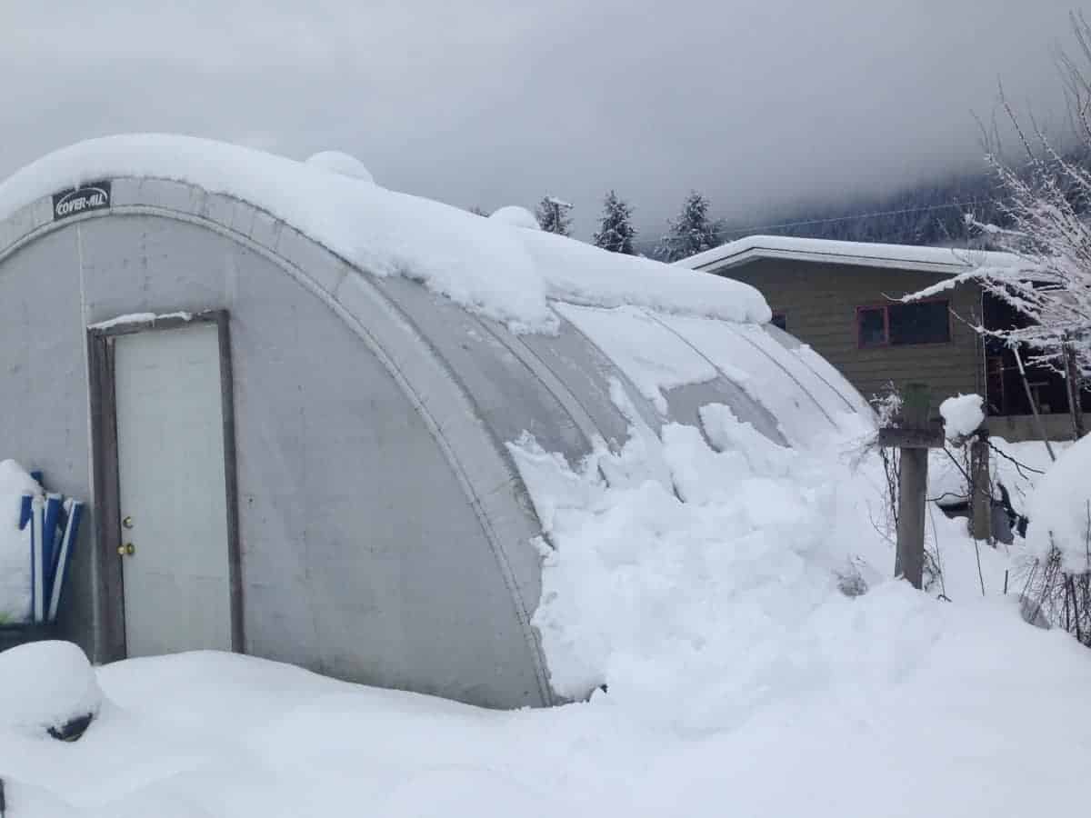 Greenhouse Gardening: Growing Vegetables Year-Round