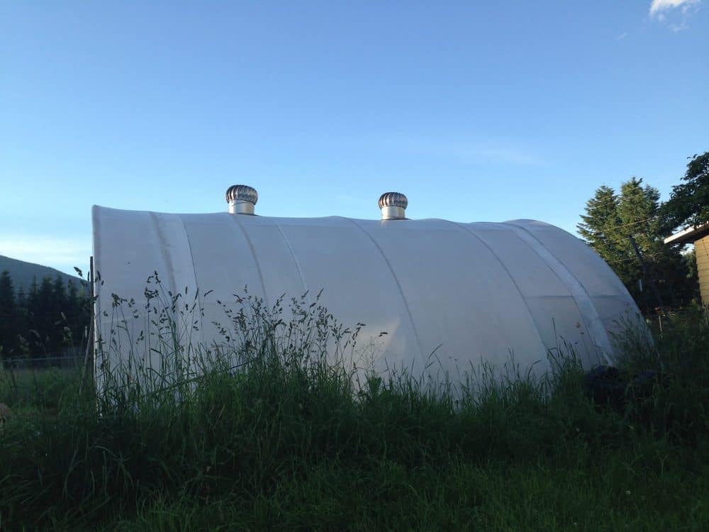 Greenhouse Gardening: Growing Vegetables Year-Round