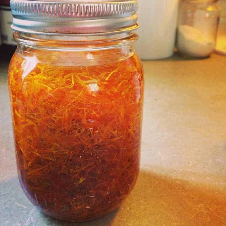 How to Dry Calendula Flowers & Make Calendula Oil