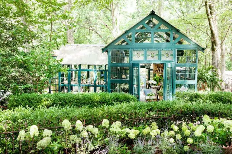 Garden Design ideas for she shed